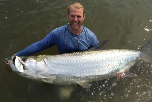 Tarpon